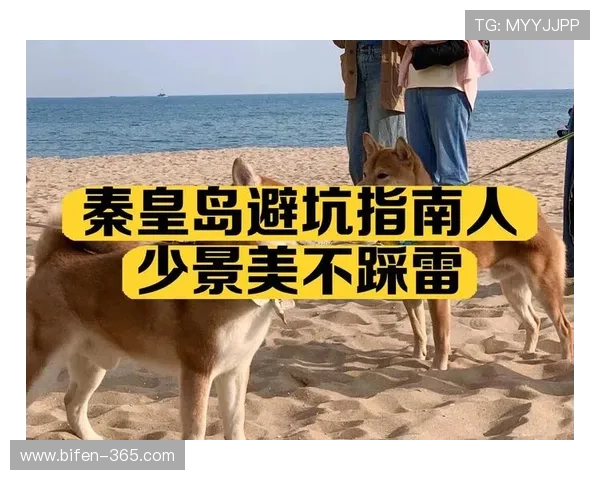 足球竞猜模拟器避坑指南大型赛事预热必看